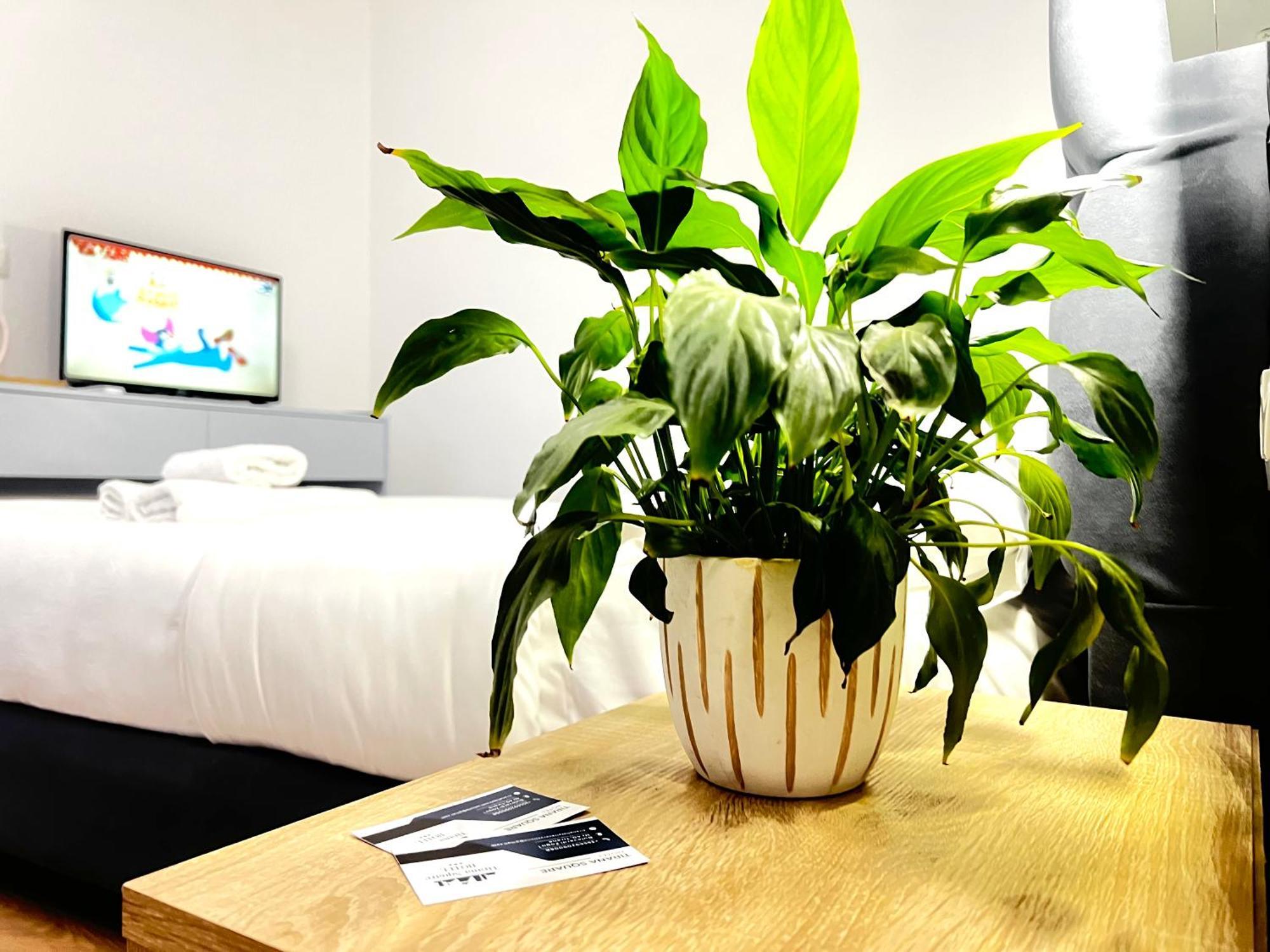 Tirana Square Hotel Zewnętrze zdjęcie
